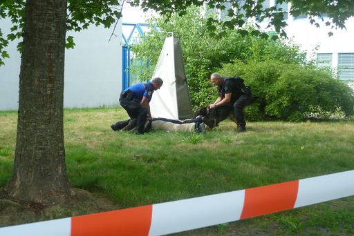 Einblick in die Polizeiarbeit