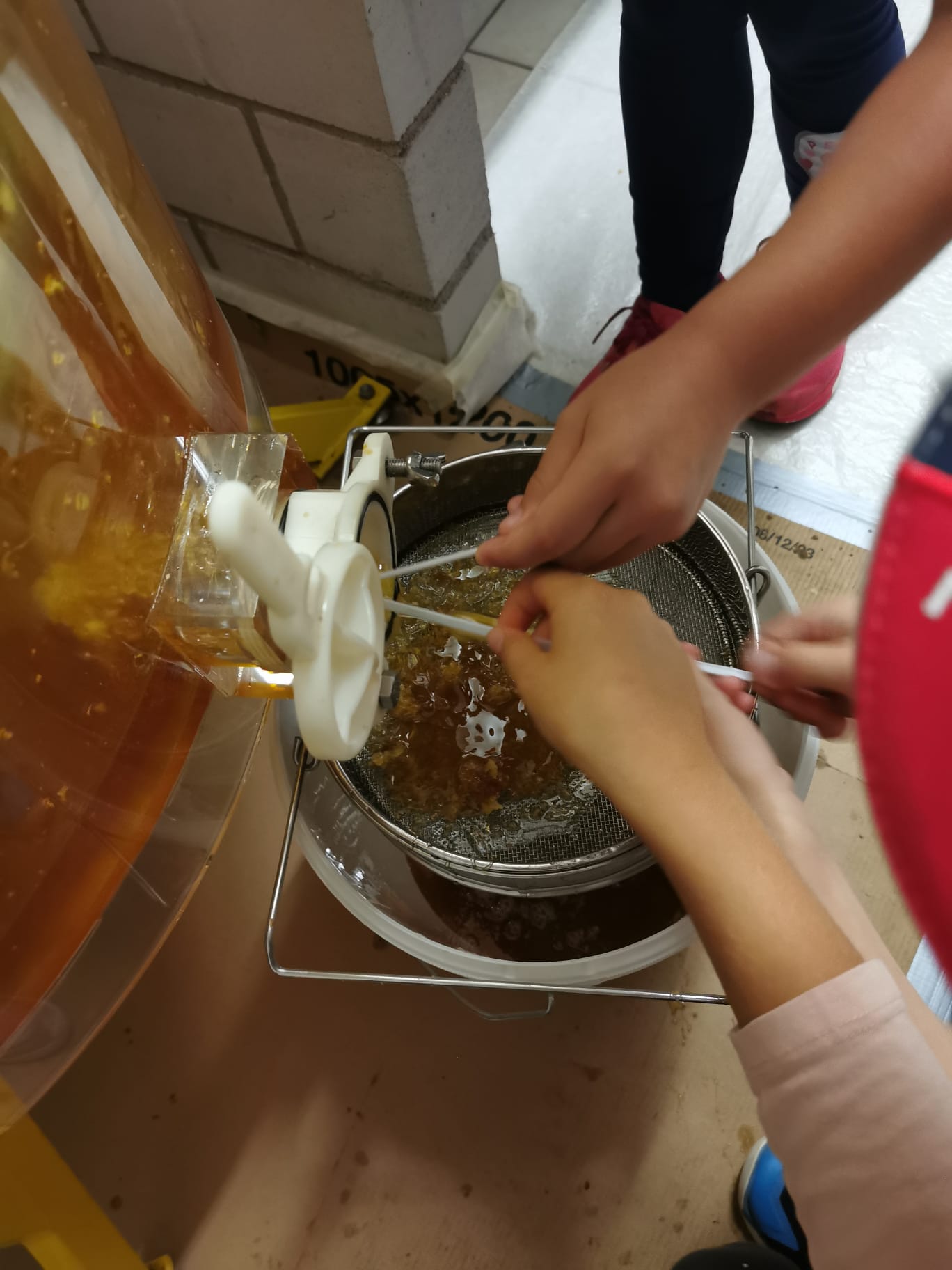 Honig zum Probieren
